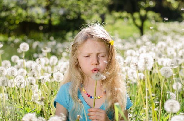istock in the meadow with dandelion flowers 1047520348