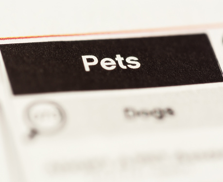 The Pets column in a newspaper's Classified section.