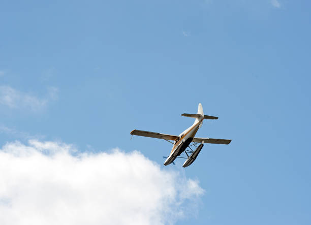 istock Floating from air to water, Seattle, USA 1047525736