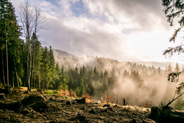 herbst nebel sonnige berglandschaft - hill dusk sunset heat haze stock-fotos und bilder