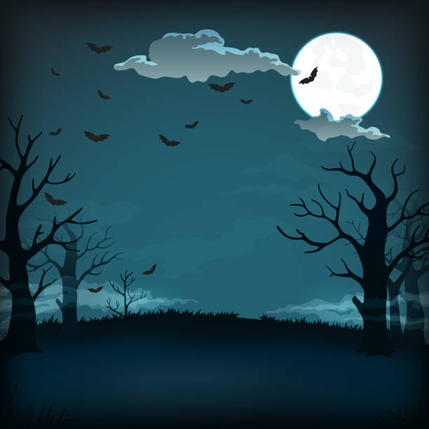 wooden signboard with full moon, clouds, bats, candles and illuminated pumpkins with witch hat copy Vector background, sign, poster design. Spooky night background with full moon, clouds, bats, bare trees silhouettes and dark blue sky moonlight illustrations stock illustrations