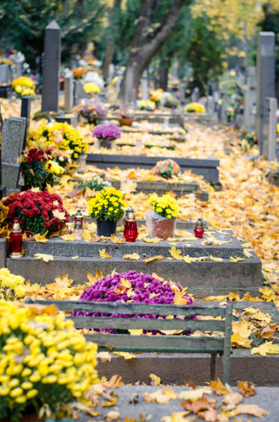 istock graves in cemetery covered  by leaves 1047541140