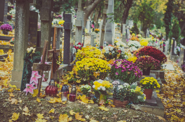 istock graves in cemetery covered  by leaves 1047541144
