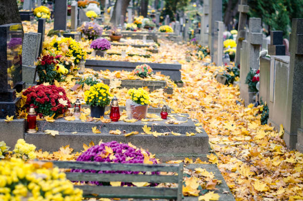 istock graves in cemetery covered  by leaves 1047542310