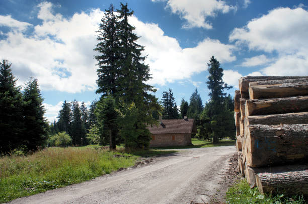 A forest clearing, a forest road, tree trunks and a lodge at the distance footpath Westweg in Black Forest, blue sky and white clouds