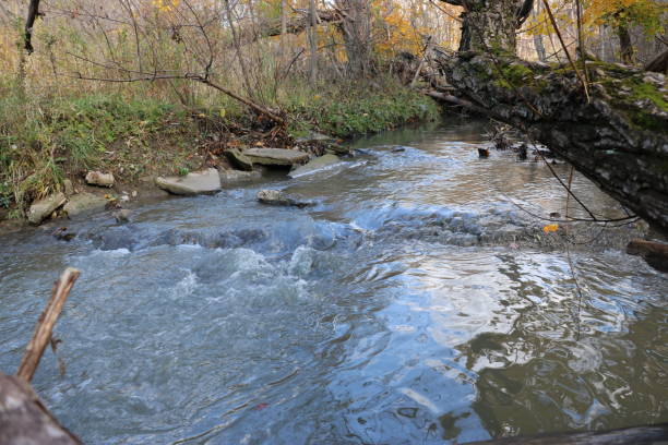 istock Nature walk along winding river/stream threw a gully forest. 1047553378