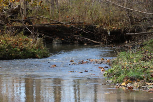 istock Nature walk along winding river/stream threw a gully forest. 1047553432