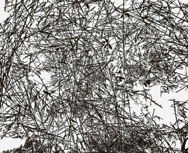 istock Grunge background. Abstract template. Texture with the effect of noise, grain, roughness. Vector illustration for a design surface. 1047553648