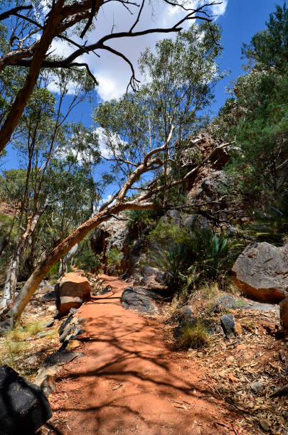 istock Australia, Northern Territory, McDonnell Range 1047557392