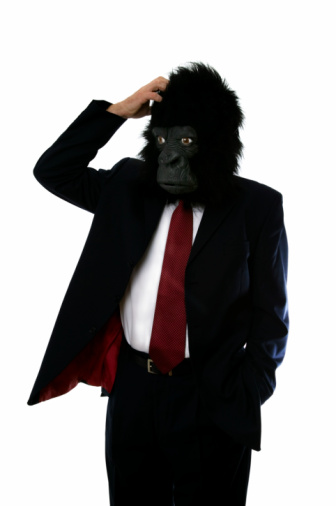 Businessman in a gorilla mask, confused and scratching his head.