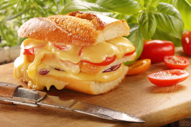 Grilled cheese sandwich with tomato and onion on wooden background