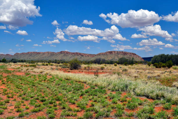 istock Australia, Pasture along Namatrija drive 1047561940
