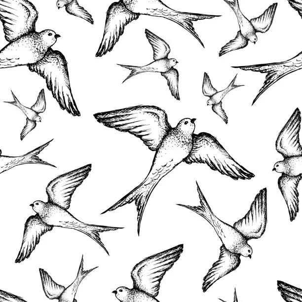 Vector illustration of Beautiful seamless hand drawn swallow vector pattern