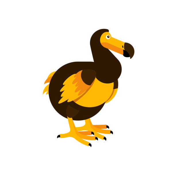 Dodo Bird Vector Stock Illustration - Download Image Now - Dodo Bird,  Abstract, Animal - iStock