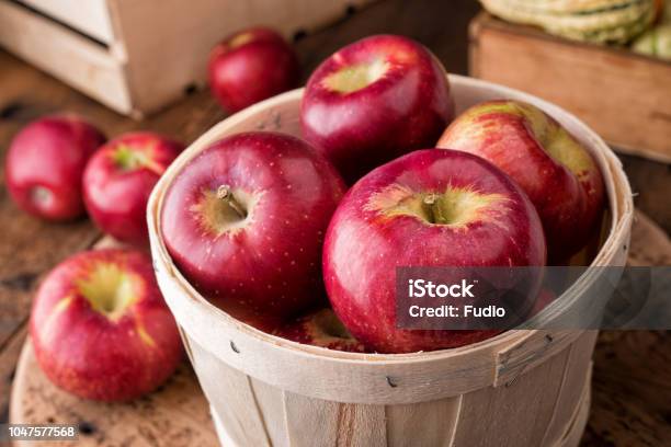 Cortland Apples Stock Photo - Download Image Now - Apple - Fruit, Autumn, Picking - Harvesting