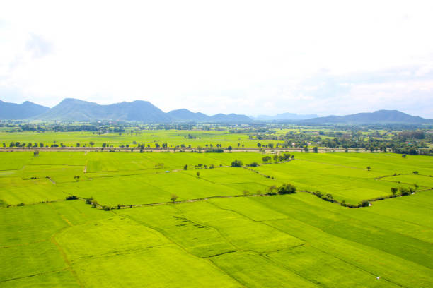istock The farm are green. 1047582094