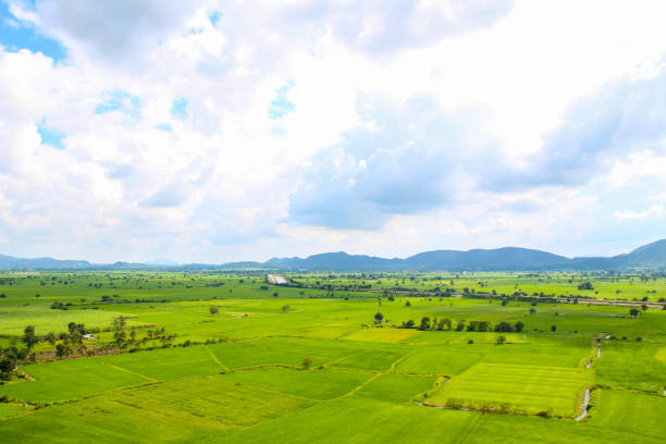istock The fields are green and the sky is bright. 1047582096