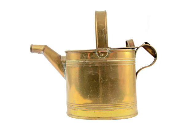 istock Vintage Brass Watering Can on White Background 1047586202