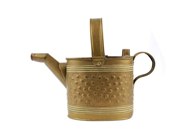 istock Vintage Brass Watering Can on White Background 1047586434