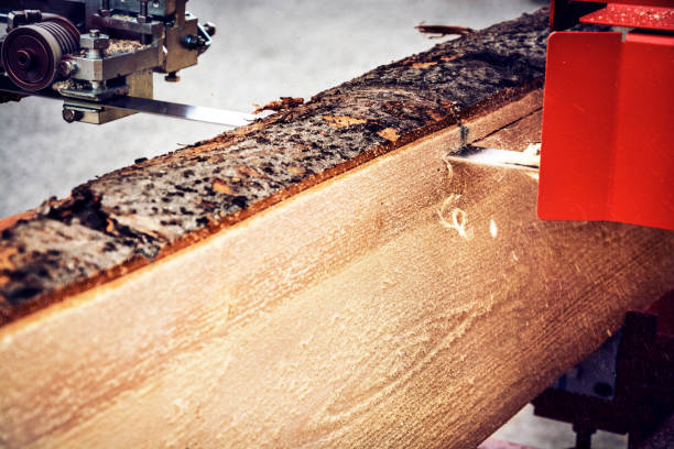 istock Lumber industry - saw cutting log 1047586470