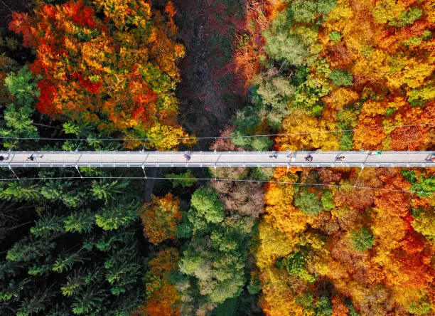 Photo of Top aerial view of suspension footbridge Geierlay (Hangeseilbrucke Geierlay) near Mosdorf, Germany