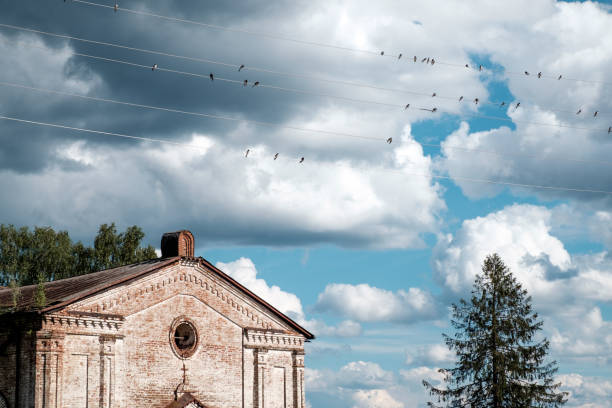 Group of swallows sitting on wires over blue sky with clouds