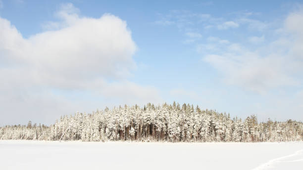 istock Beautiful winter landscape with snow covered trees 1047589680