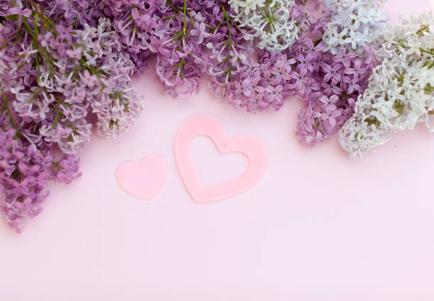 istock Lilac branches and two pink heart on a light pink background empty space for your text, top view. One big and one small heart like simbol of love 1047594956