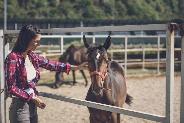 istock Young woman and foal 1047609334