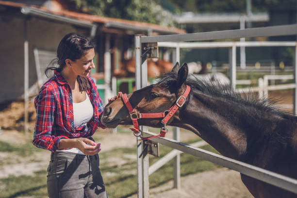 istock Young woman and foal 1047609638