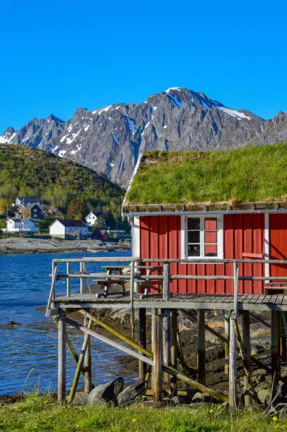 Photo of Red lofoten house with thatched roof  in a typical village, Norway.