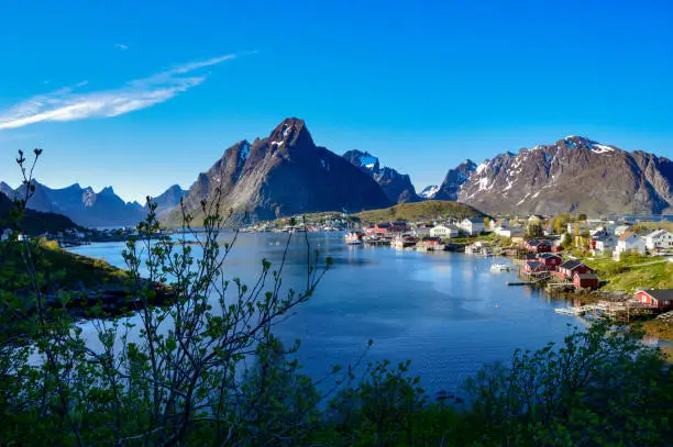 Photo of Small lofoten village lost in the middle of a fjord, Norwey.