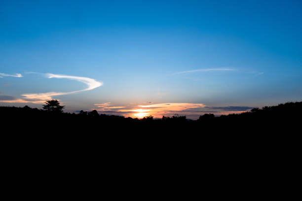 Blue sky and sunlight and Silhouette black trees in evening time