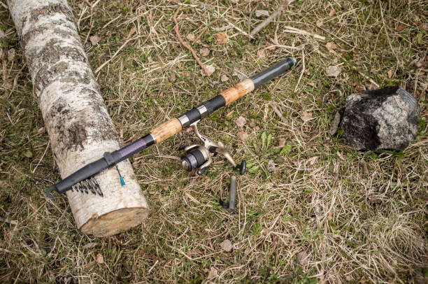 istock Fishing rod in the assembled state lies on a log birch. 1047621354