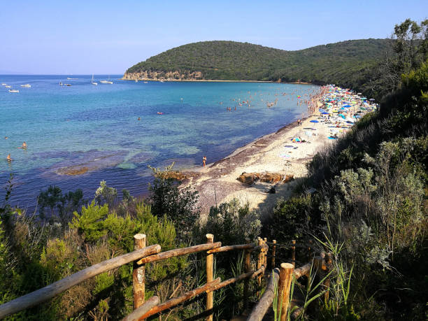 italy tuscany cala violina, view of the beach and the bay - clear sky italy tuscany image imagens e fotografias de stock