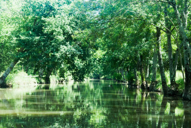 istock time for a rest close to a river 1047628018