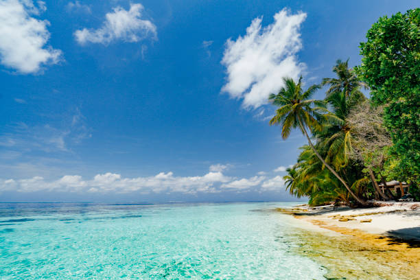 istock Paradisiac beach at Maldives 1047631720