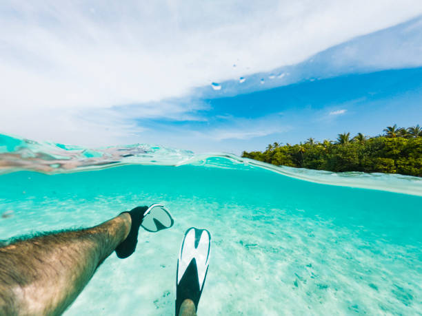 istock Snorkeling in Maldives sea 1047631726