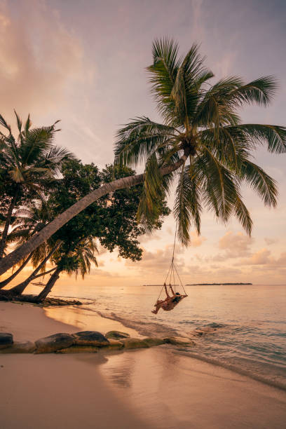 Young adult woman relaxing on a swing in a tropical paradise Young adult woman relaxing on a swing in a tropical paradise atoll photos stock pictures, royalty-free photos & images