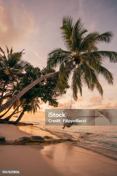 Young Adult Woman Relaxing On A Swing In A Tropical Paradise Stock Photo - Download Image Now