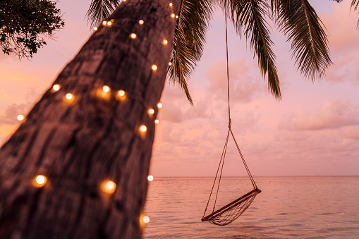 Empty swing in a tropical paradise