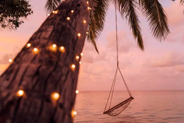 Photo of Empty swing in a tropical paradise