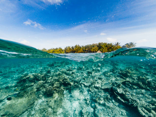 istock Paradisiac beach at Maldives 1047631842