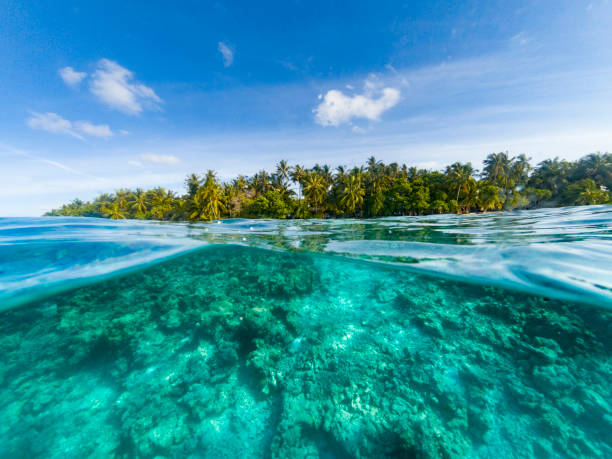 istock Paradisiac beach at Maldives 1047631864