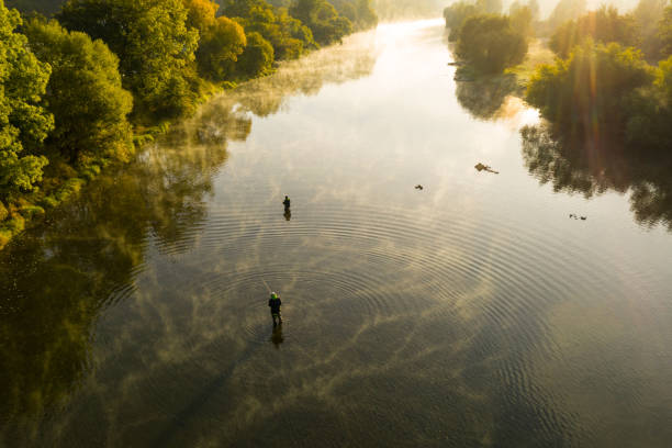 luftaufnahme eines mannes fliegenfischen in einem fluss während sommermorgen. - fly fishing fishing river fisherman stock-fotos und bilder