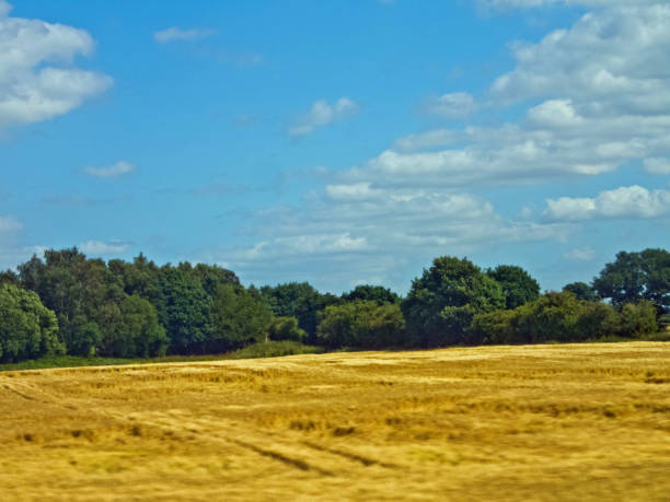 istock English farm field 1047636518