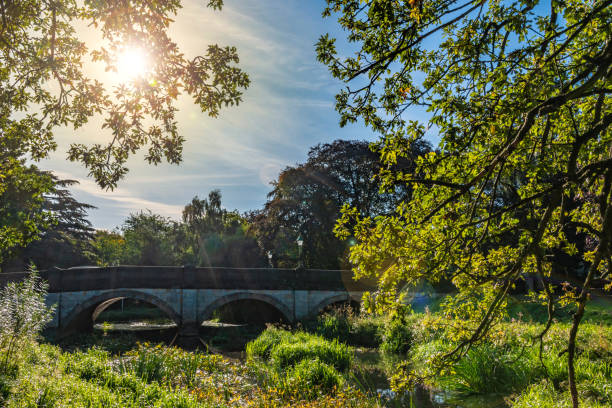 Beautiful photo of cobham Surrey by the river
