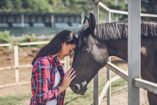 a young woman on a horse farm spends time with her horses
