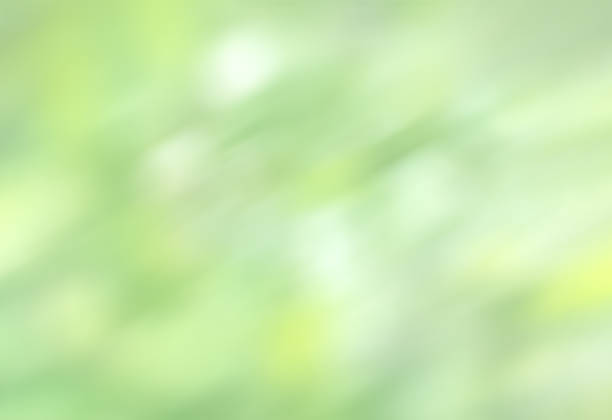 istock Abstract blurred image of a spring garden 1047648054