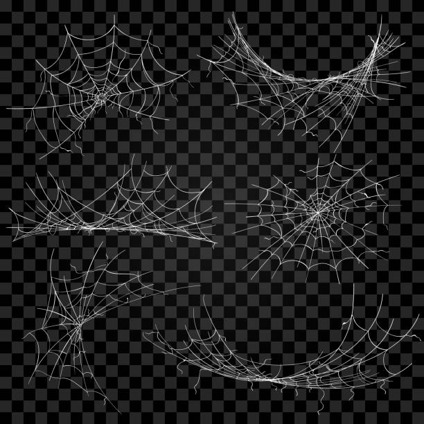 spider halloween cogwebs auf transparente - spinnennetz stock-grafiken, -clipart, -cartoons und -symbole